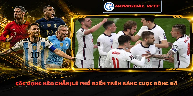 Các dạng kèo Chẵn/Lẻ phổ biến trên bảng cược bóng đá