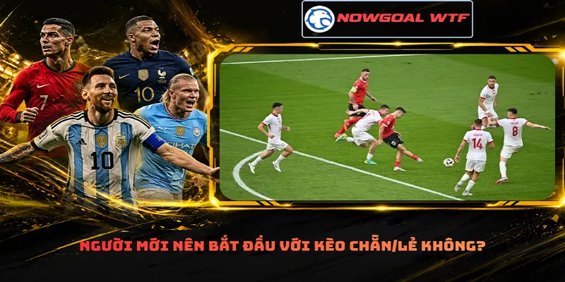 Người mới nên bắt đầu với kèo Chẵn/Lẻ không?