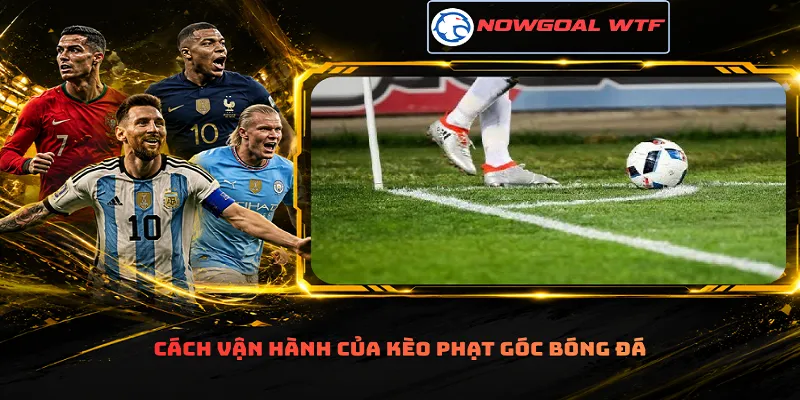 Cách vận hành của kèo phạt góc bóng đá