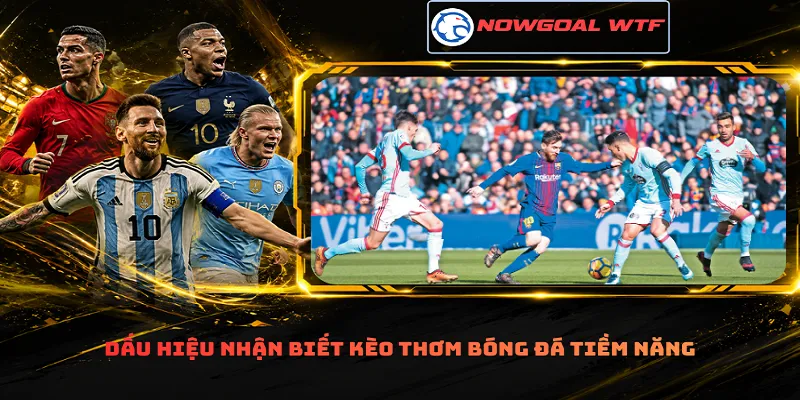 Dấu hiệu nhận biết kèo thơm bóng đá tiềm năng