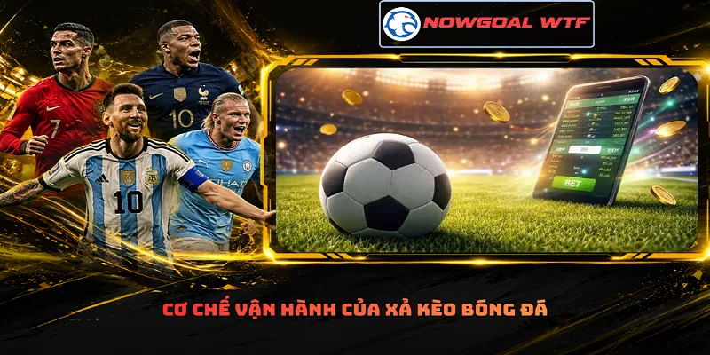 Cơ chế vận hành của xả kèo bóng đá