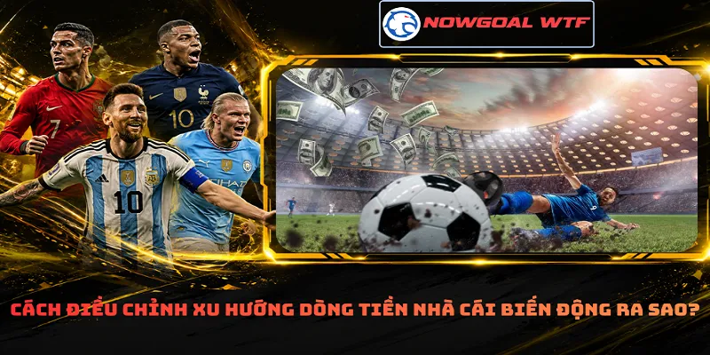 Cách điều chỉnh xu hướng dòng tiền nhà cái biến động ra sao?